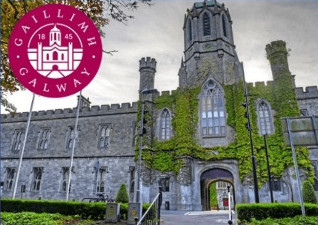 Galway University